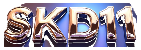skd11 logo
